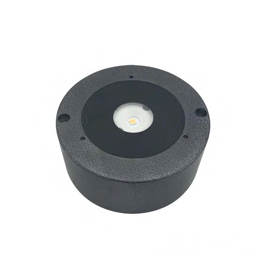 Outdoor Europe High Quality Aluminum IP68 3W Pool LED Underwater light