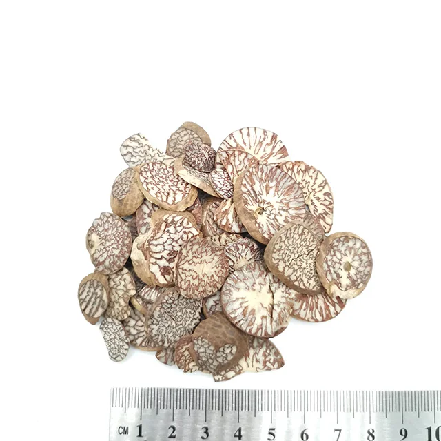 
Dried nut Areca catechu for herbals SEMEN ARECAE 