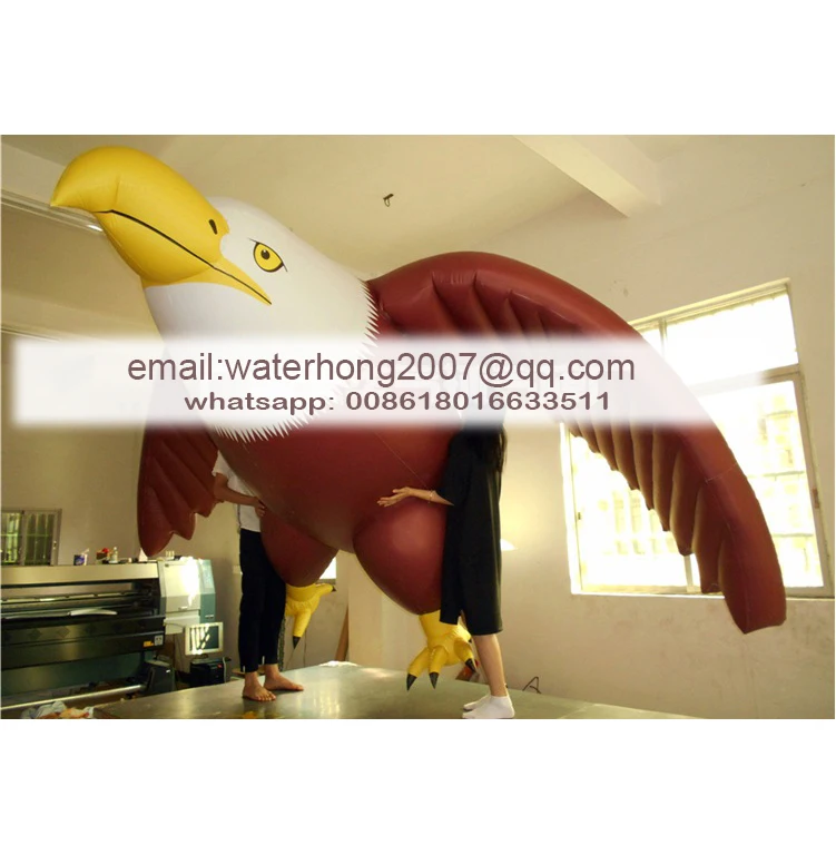 12923536150_772150332.jpg