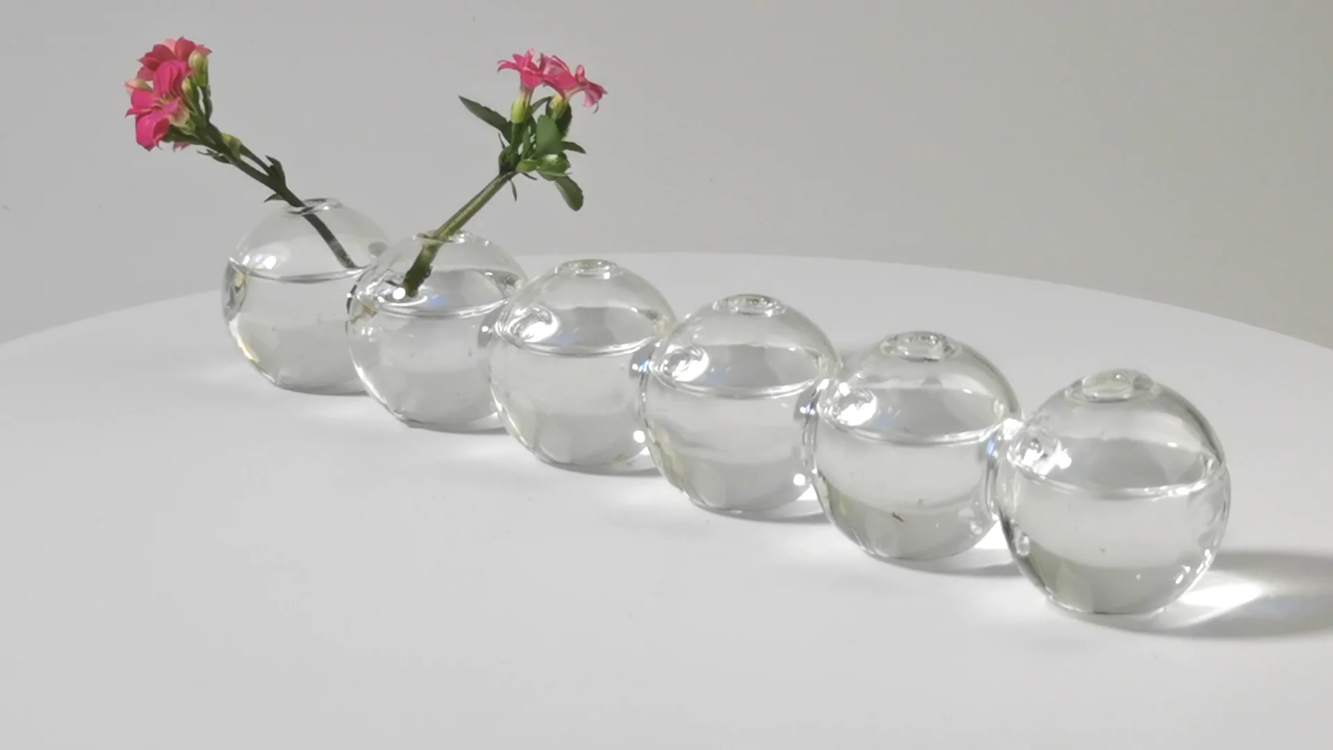 Caterpillar,Clear Glass Bud Conjoined Cute Floral Vase For Home Decor