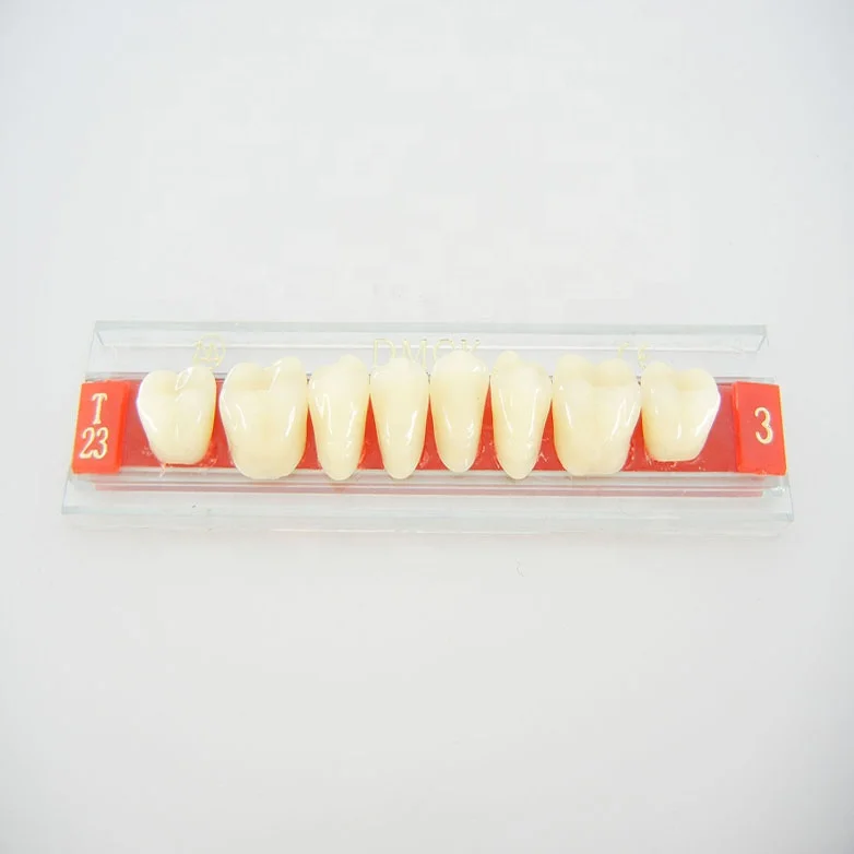 Протезы квадротти без неба. Полный съемный акриловый протез. А23. Какие акриловые зубы. Съемный акриловый протез.