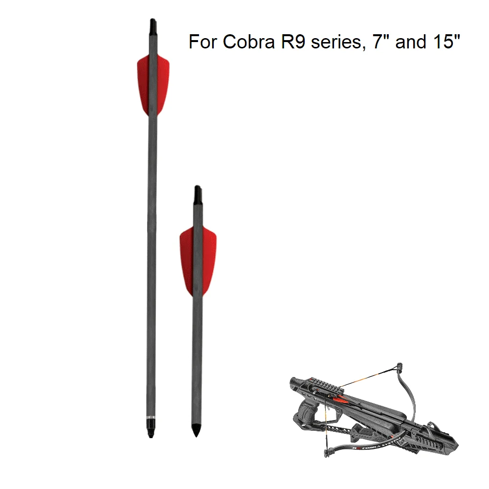 cobra 03.png