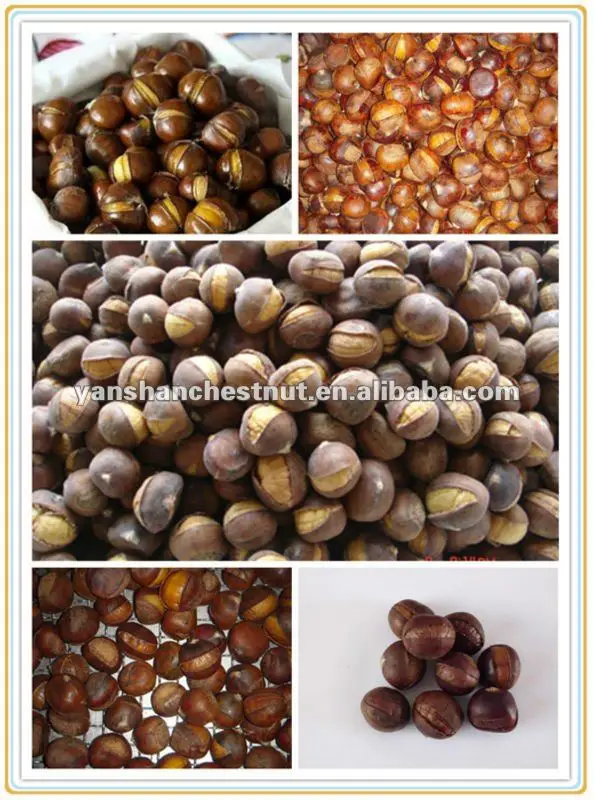 cooked ringent chestnut