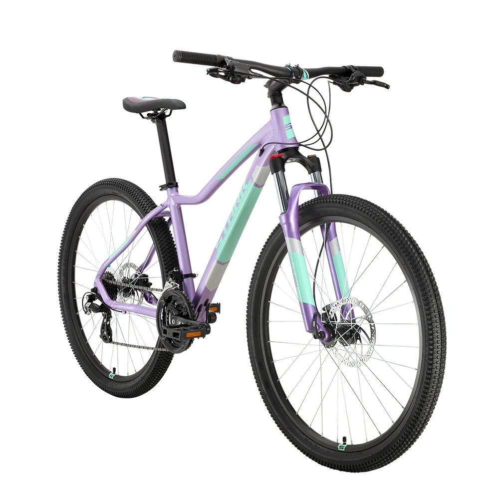 purple and blue bike