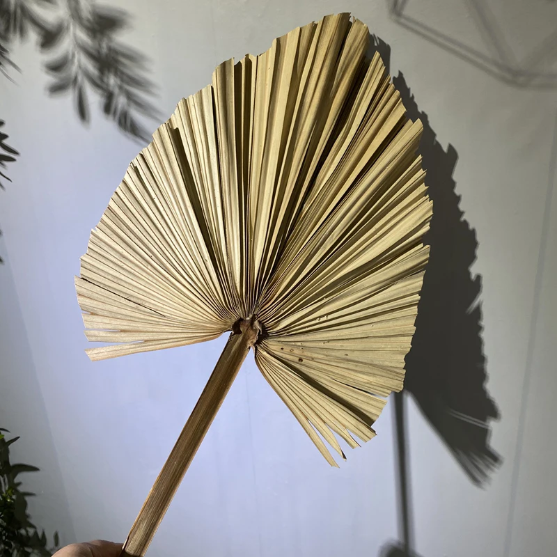 Wholesale Natural Dried Palm Leaves Flower Arrangements Natural
