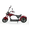 EcoRider 2019 Best Seller Multi-Colored Electric Motorcycles E5-5 Citycoco 2 Wheel Scooter for Adult 2000W 20.8AH with EEC
