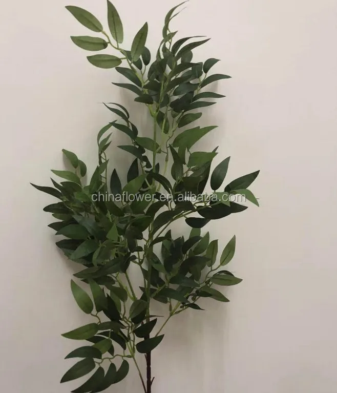 willow leaf  (1).JPG