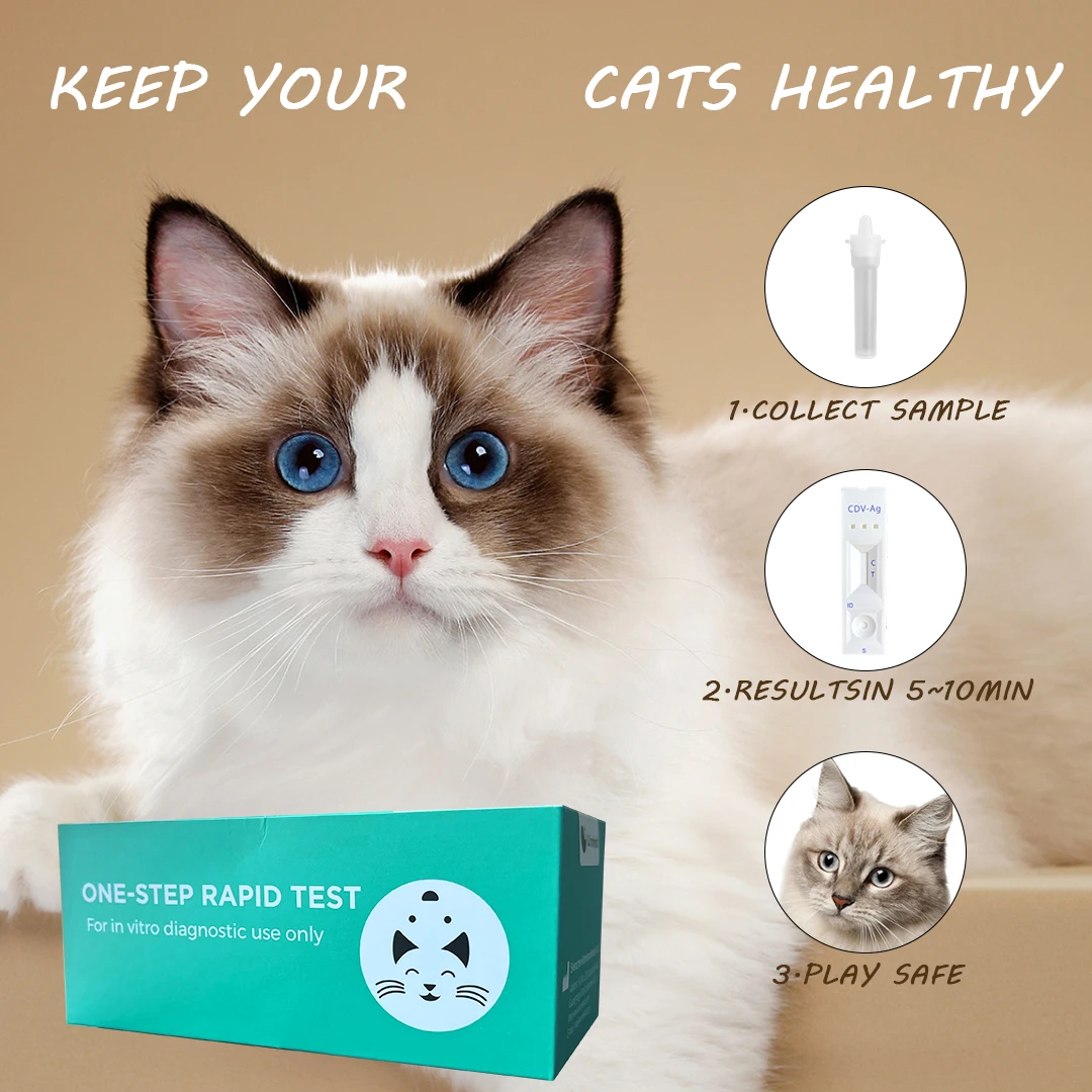 Pet Care Rapid Test Kit Feline Cat Canine Fip Fcov Ehr Ccv Y Cdv Cpv   H7a2f3bd220154540b4b79127fd01dd9ce 