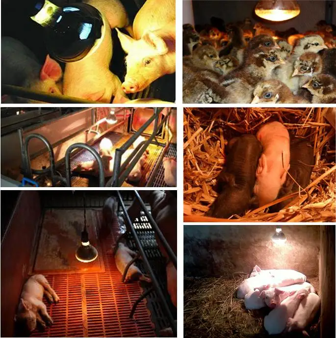 Infrared Thickened Heating Lamp Breeding Bulb 100w/150w/200w/250w Pet