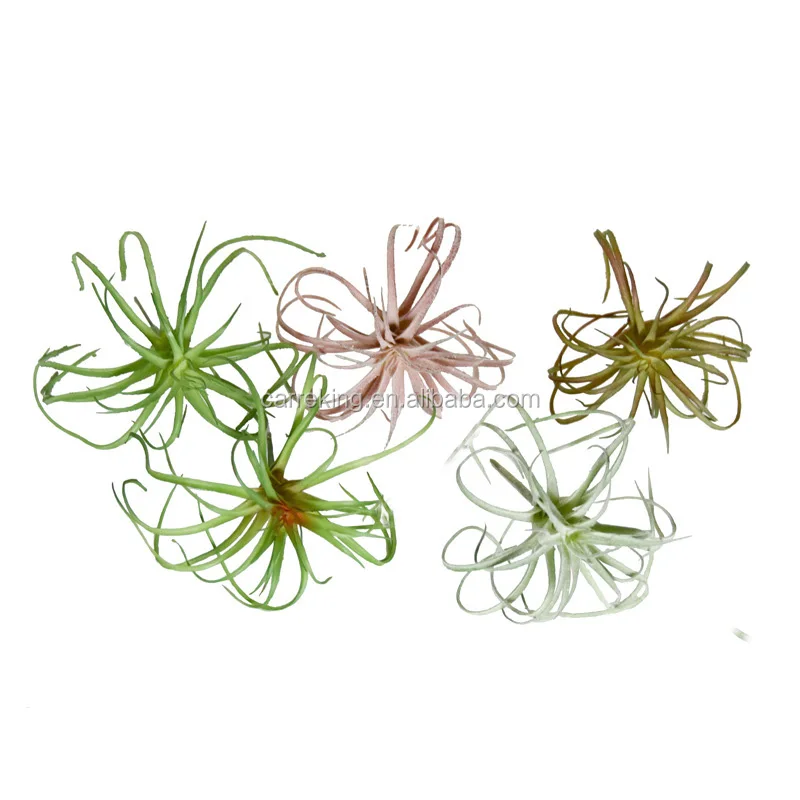Artificial Flocking Tillandsia Air Plants Faux Succulents Bromeliads