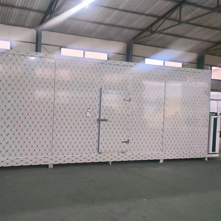 Walk-in Freezer, 400 V, ISO9001 - detail 4