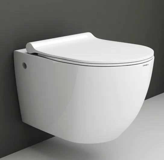 P-trap 180mm roughing-in ceramic wall hung toilet with thin seat supplier