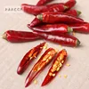 /product-detail/hq-dried-wholesale-red-chili-pepper-three-cherry-dry-pepper-62393117161.html