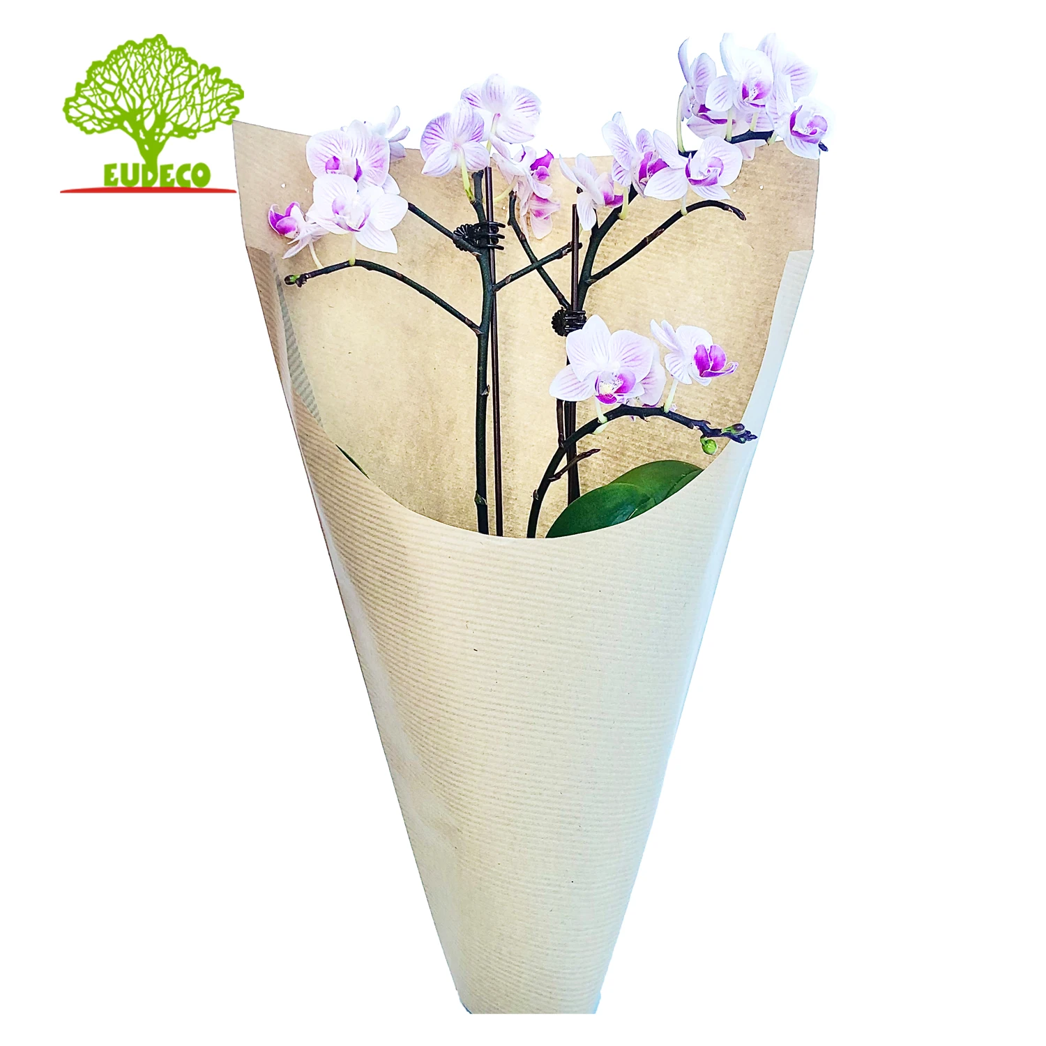 orchid sleeve1 .jpg