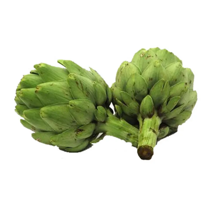 organic artichoke leaf extract 5% cynarin powder for health care