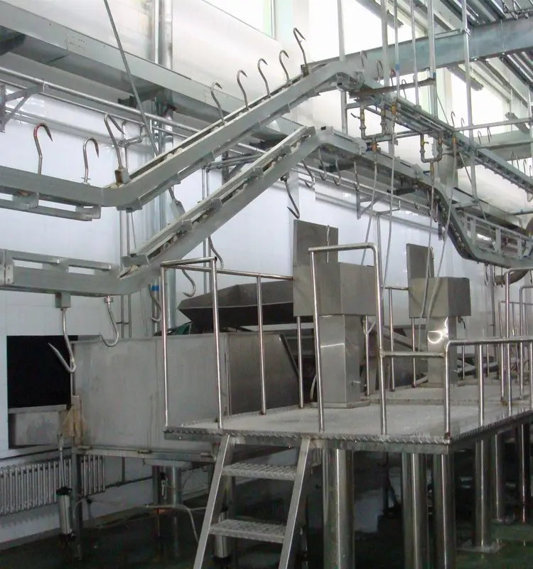 Halal Slaughter Equipment Synchronized Quarantine System for Cattle Offal for Slaughterhouse Operations