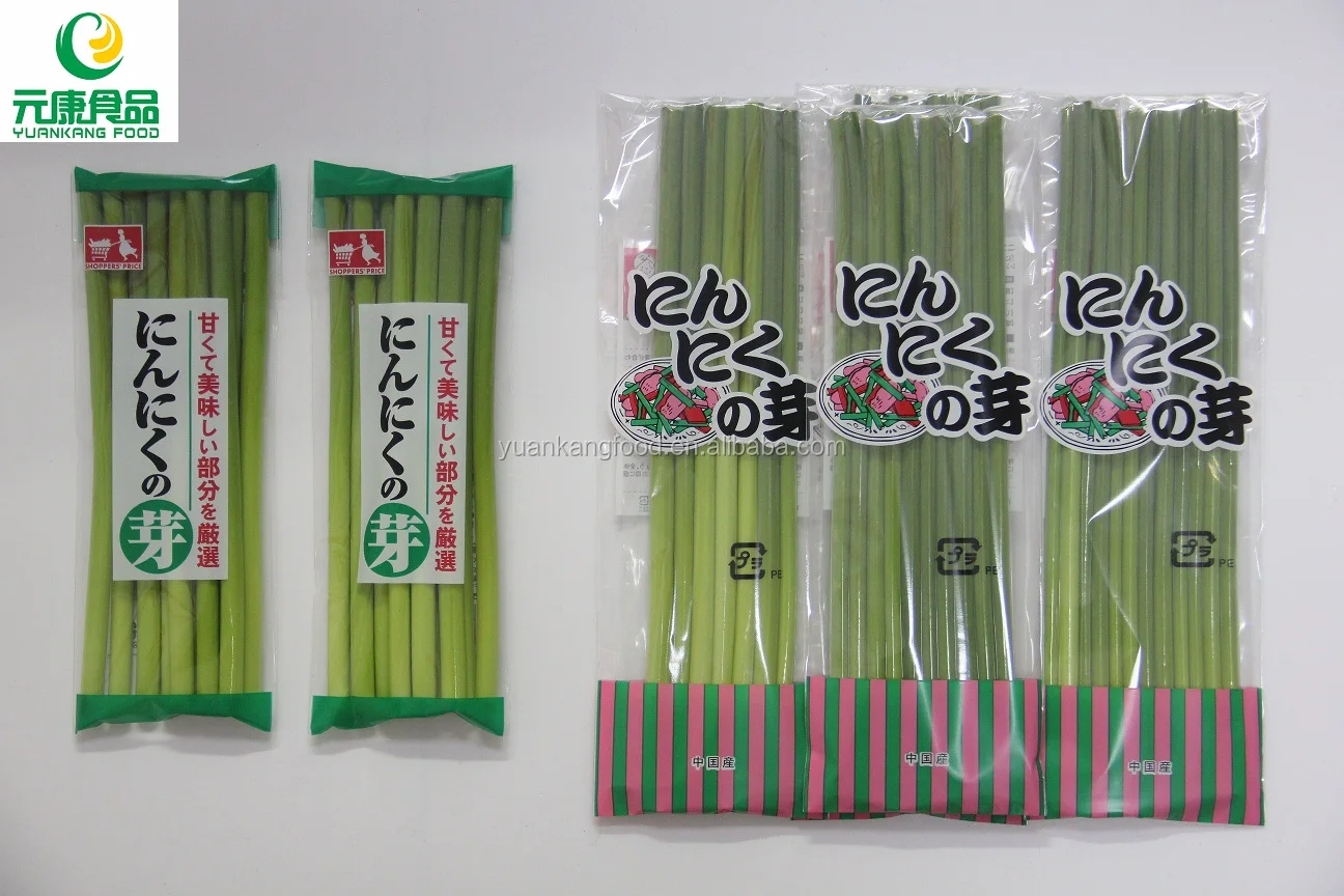 new crop fresh garlic stem /fresh garlic sprout young fresh