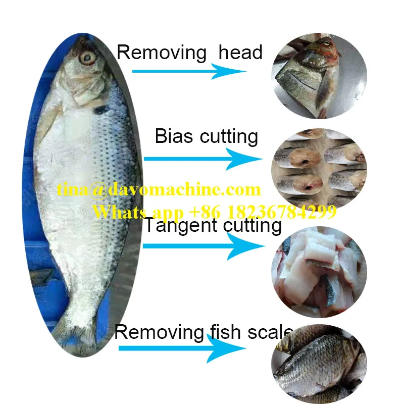 fish processing 1.jpg