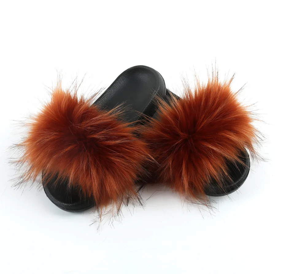 racoon slides