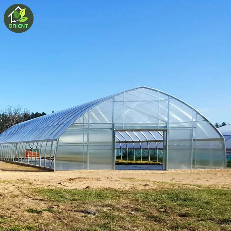 Single Span Greenhouses In South Africa Rdwc Hydroponic System Buckets