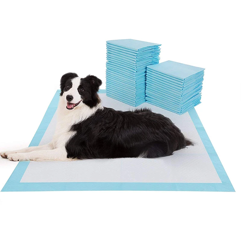 amazonbasics puppy pads