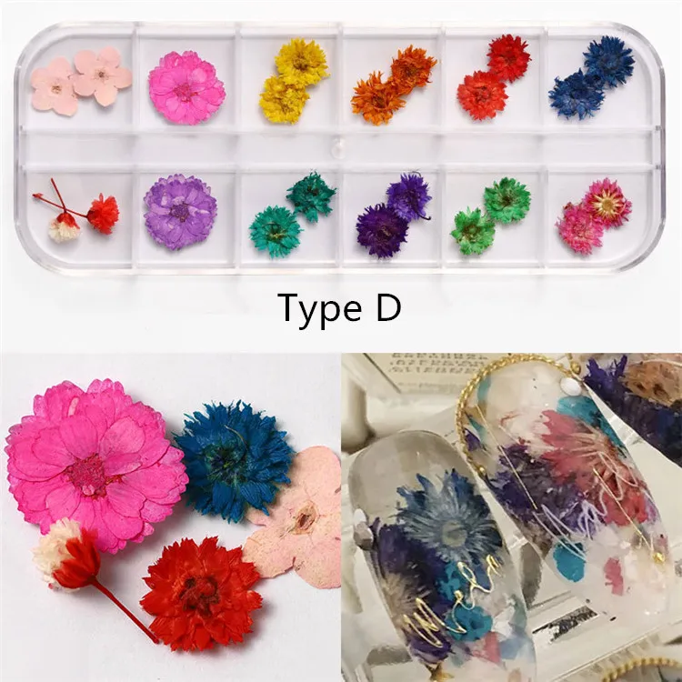 QT0188 Type D flower