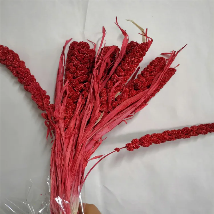 Factory Supply Red Millet Natural Dried Flowers Millet For Home