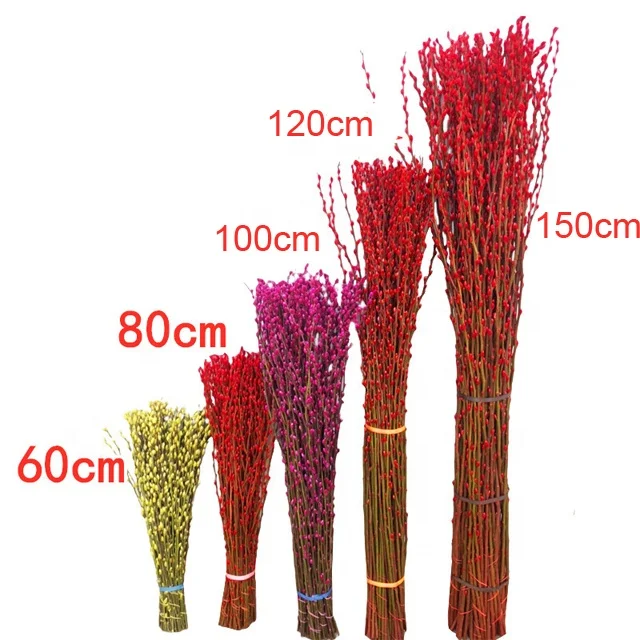 Hot Sale Colorful Preserved Salix Argyracea Flower Various Sizes Natural Preserved Pussy Willow