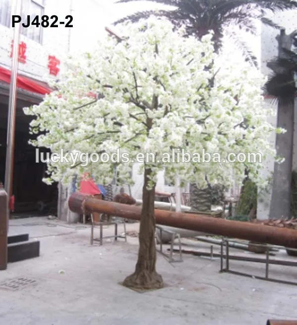 PJ482-2.jpg