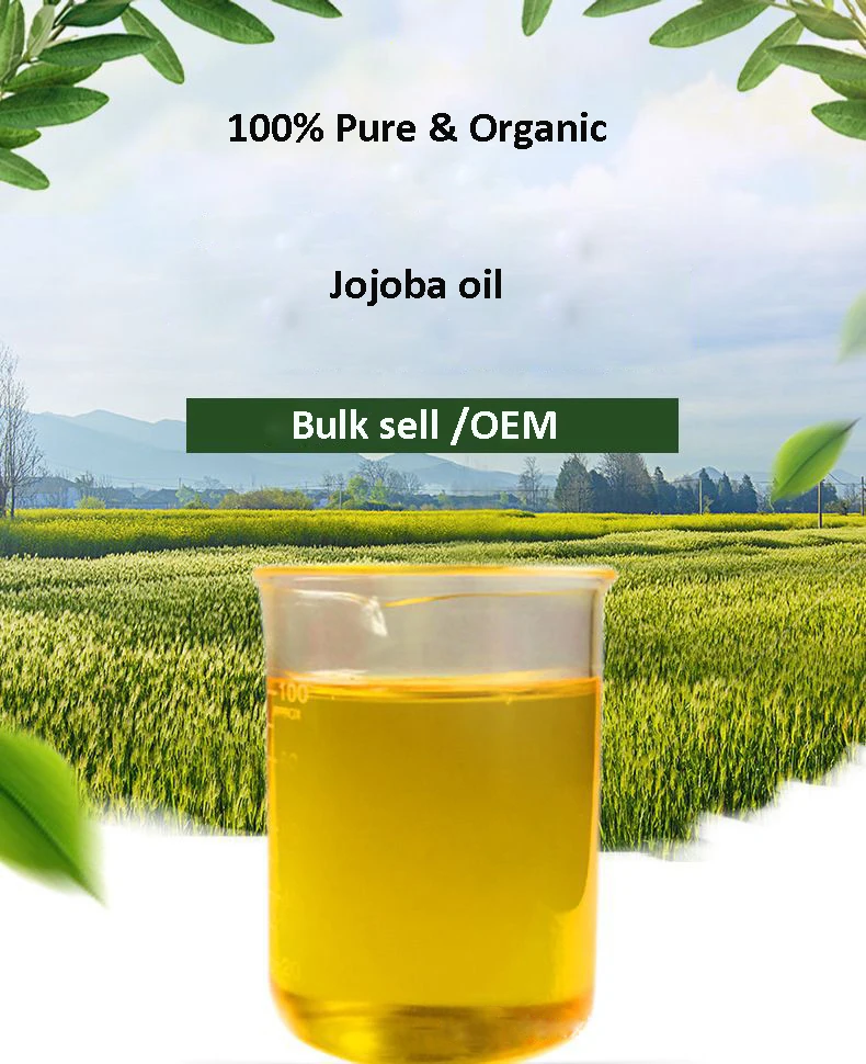 Baolin 100 Pure Carrier Oil Organic Cold Press Bulk Jojoba Oil For Beard Growth Buy Jojoba