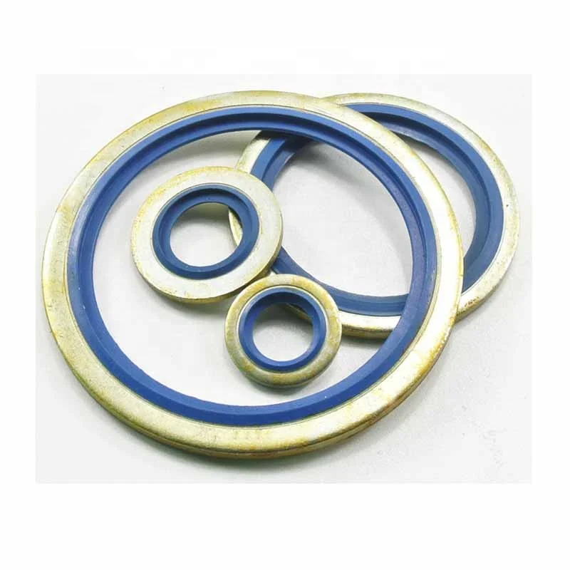 Dowty Seals Bonded Washer Kit Nbr Steel Usit Ring Bonded Seal Washer ...