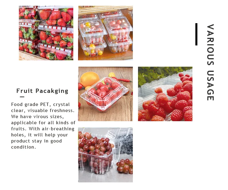 Disposable 500g PET Strawberry Plastic Container Fruits Packaging Clamshell  With Air Holes Manufacturers