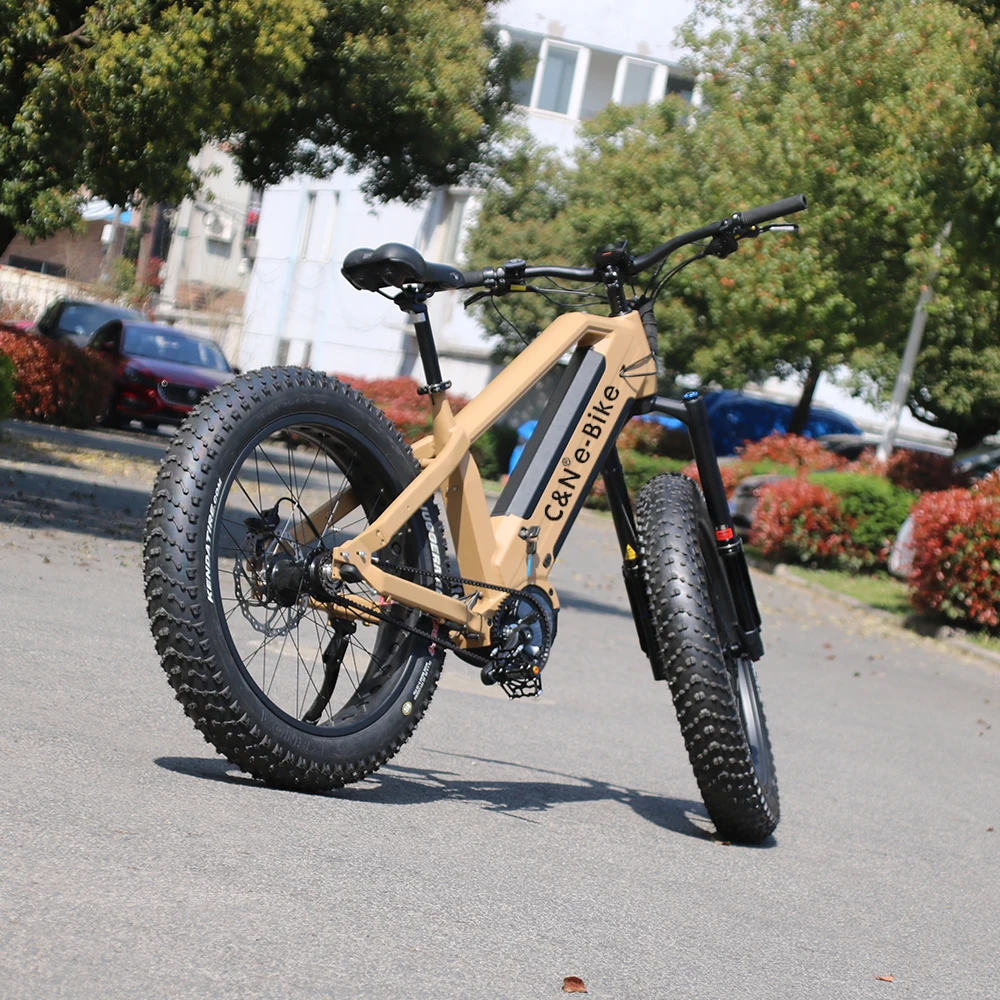 belt drive fat bike