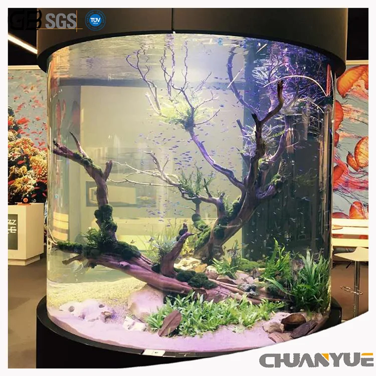 Ornamental Acrylic Fish Tanks Plexiglass Aquariums Buy Plexiglass