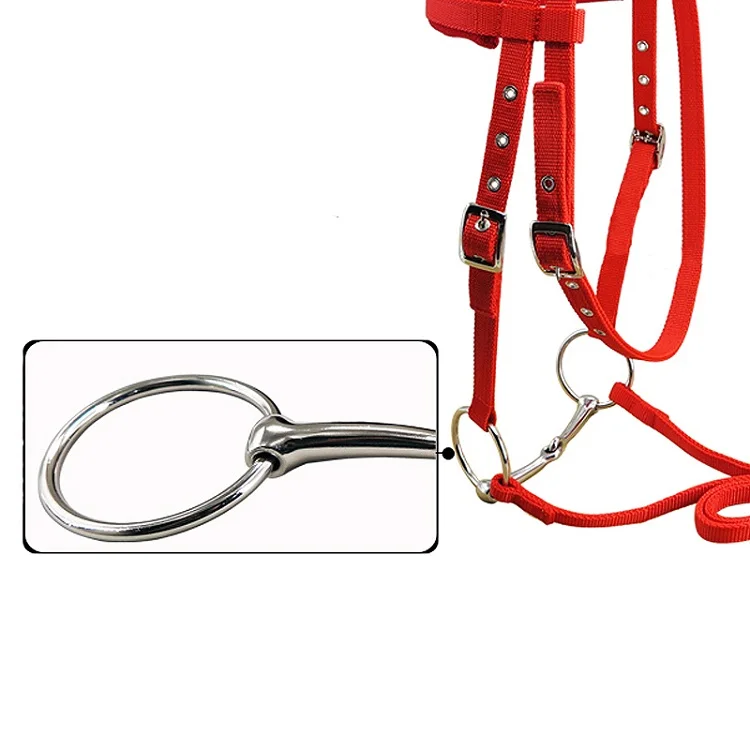horse halter (7).jpg
