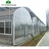 Arches Tunnel Poly PC Greenhouse for Agriculture