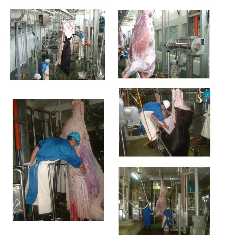 Automatic cattle bleeding line stainless steel beef slaughtering equipment halal certified model OSE-BL100