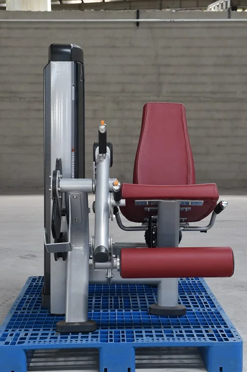 LS-916 Leg Extension (5).JPG