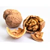 Farmer Supply Break Time Food Walnuts Walnut In Shell