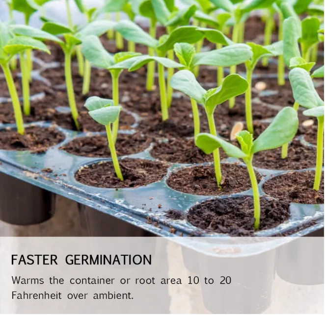 Heating Seed Starter Germination Kitpremium Seedling Propagation Dome