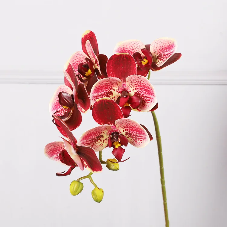 Wholesale Phalaenopsis Orchids Home Decorative Flowers Orchids Artificial Flower Buy