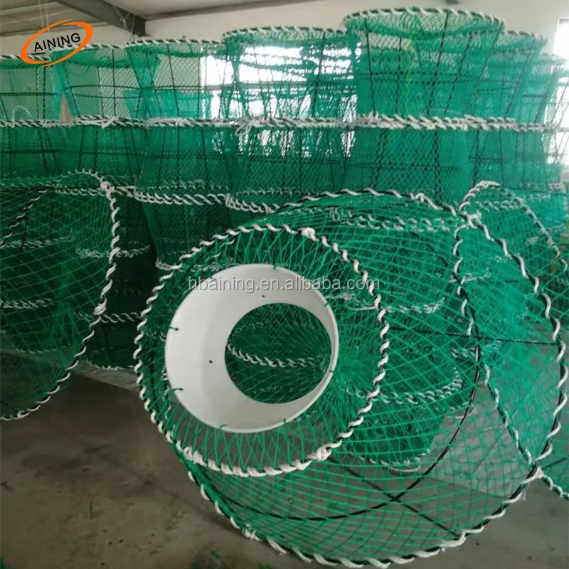 america popular live rectangle king mud opilio snow peeler crab