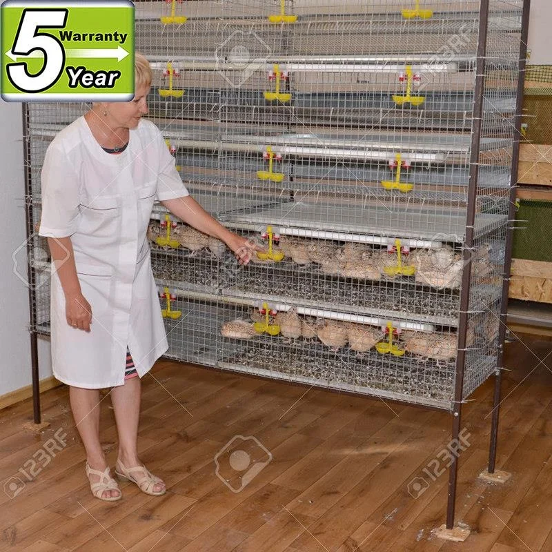 Cages Of Quails (professional Manufacturer Supply) Buy Cages Of
