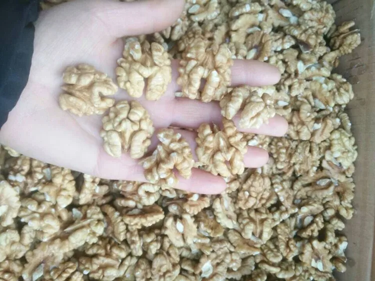 xinjiang extra light 1