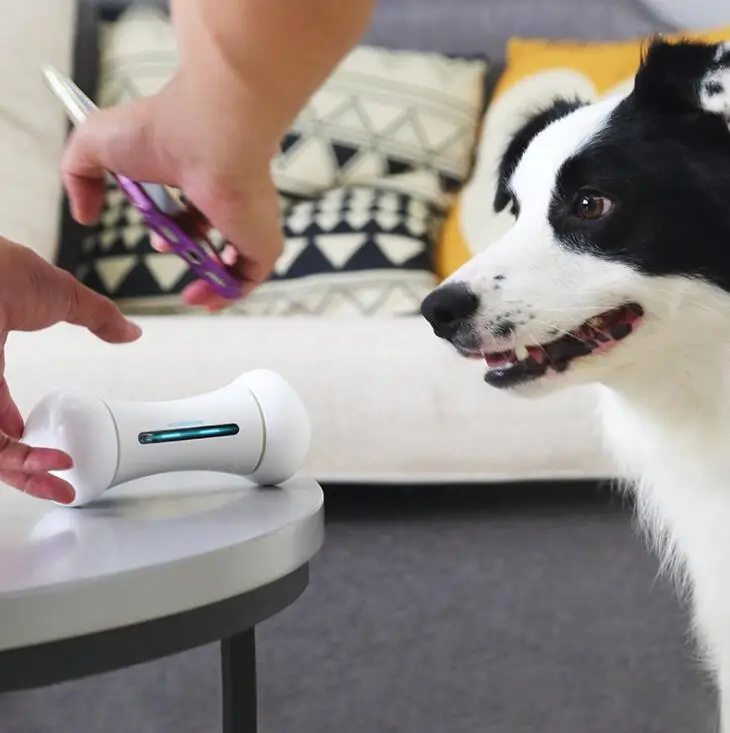 Worlds First Smart And Interactive Dog Toy Electronic toy