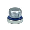 plug screw Most Popular Best Selling Cheap nuts Hex Head Screw Plug DIN 910