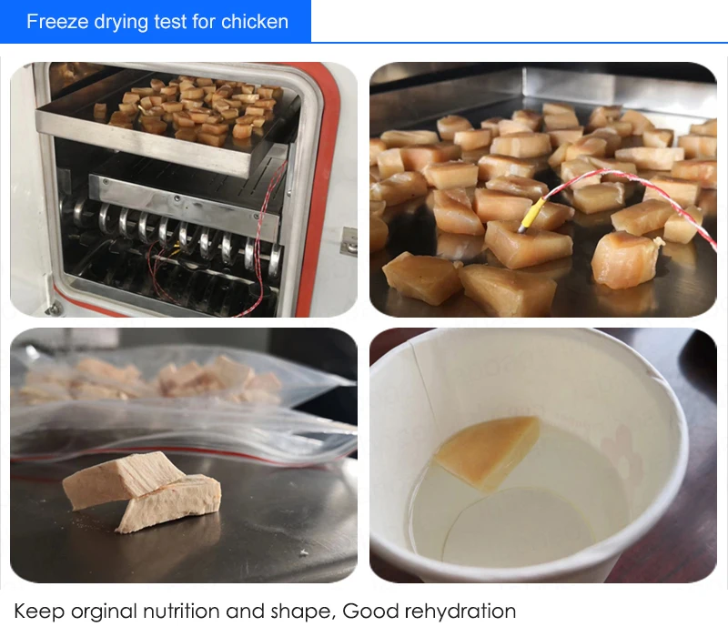 Lyophilizer freeze drying machine for pharmaceutical freeze dryer china for herbal