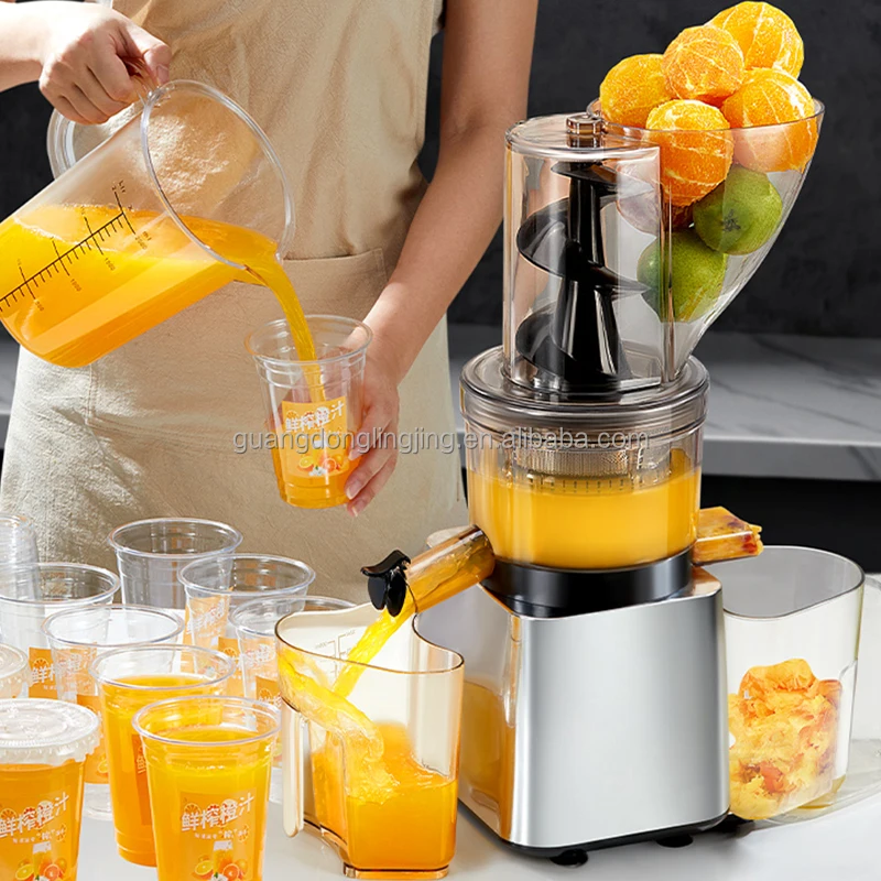 300w Heavy Duty Motor Masticating Wide Chute Slow Speed Cold Pressed Guava Pear Fruit Household Slow Commercial Juicer Machine