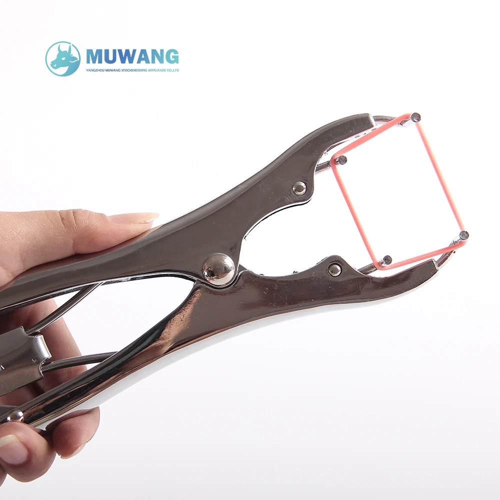 Castration Ring Elastic Band Castration Ring Rubber For Livestock Buy