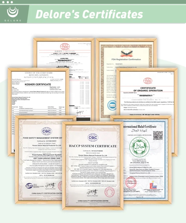 Onion Extract Quercetine Powder Buy 5 20 40 Quercetin Powder Onion Powder Onion Extract